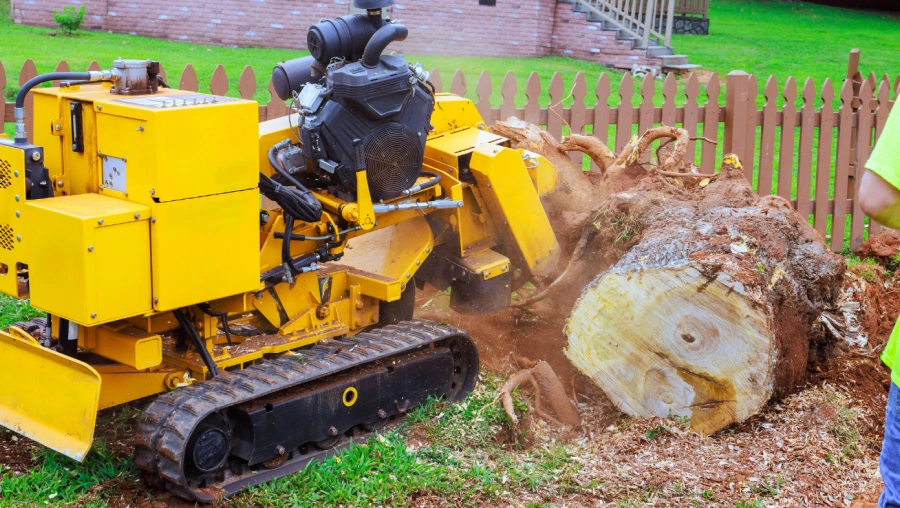 Stump Tree Removal Franksville, WI